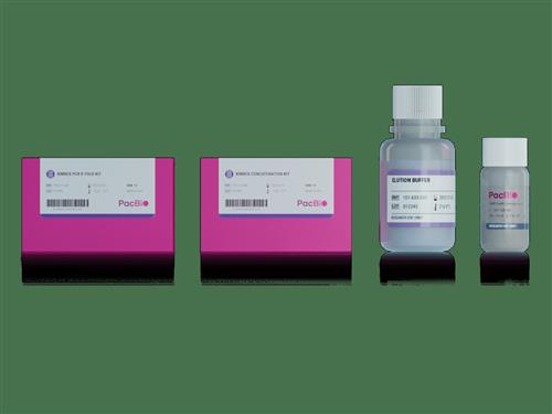 Kinnex full-length RNA kit