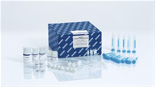 12866-25 | RNeasy PowerSoil Total RNA Kit (25)