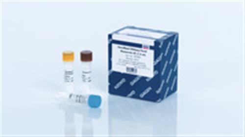 181940 | GeneRead DNAseq Panel PCR Kit V2 (12)