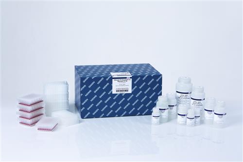 47054 | AllPrep Bacterial DNA/RNA/Protein Kit (50)