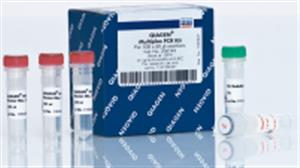 206145 | QIAGEN Multiplex PCR Kit (1000)