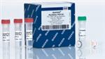 206145 | QIAGEN Multiplex PCR Kit (1000)