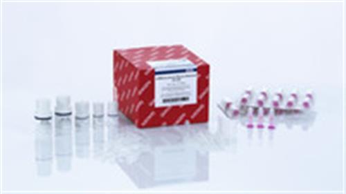 217204 | miRNeasy Serum/Plasma Advanced Kit (50)