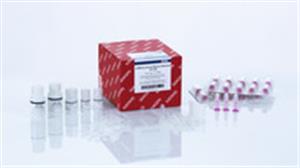 217204 | miRNeasy Serum/Plasma Advanced Kit (50)