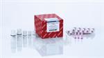 217204 | miRNeasy Serum/Plasma Advanced Kit (50)