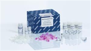25000-50 | RNeasy PowerBiofilm Kit (50)
