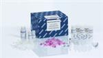 25000-50 | RNeasy PowerBiofilm Kit (50)