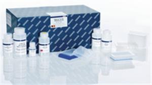 27291 | QIAprep 96 Plus Miniprep Kit (4)