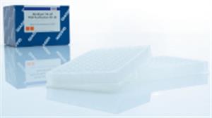 28053 | MinElute 96 UF PCR Purification Kit (24)