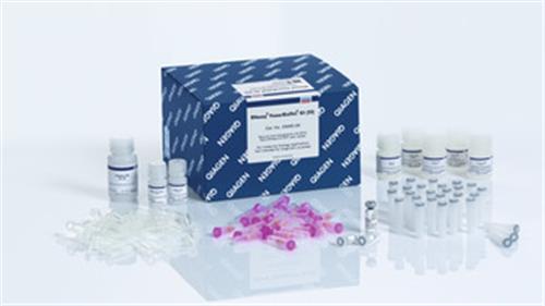 25000-50 | RNeasy PowerBiofilm Kit (50)