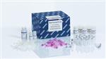 25000-50 | RNeasy PowerBiofilm Kit (50)