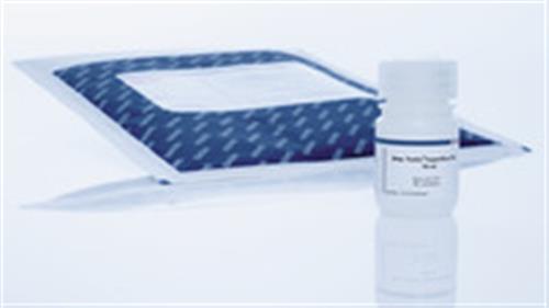 30004 | Strep-Tactin Superflow Plus (10 ml)