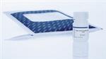 30004 | Strep-Tactin Superflow Plus (10 ml)