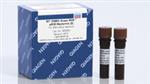 330529 | RT² SYBR Green ROX qPCR Mastermix (25 ml)