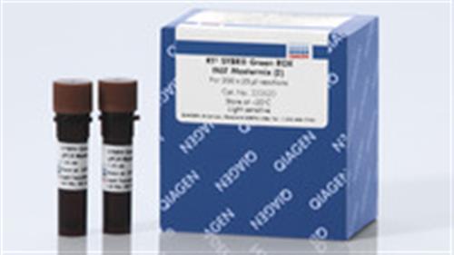 330512 | RT² SYBR Green Fluor qPCR Mastermix (12)