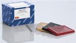 338125 | 384EZLoad Covers (4)