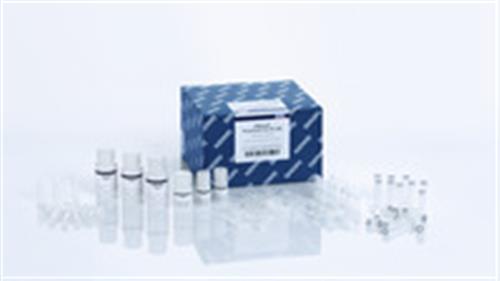 47016 | DNeasy PowerSoil Pro Kit (250)