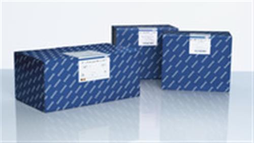 51604 | QIAamp Fast DNA Stool Mini Kit (50)