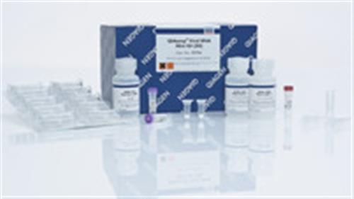 52904 | QIAamp Viral RNA Mini Kit (50)