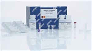 52904 | QIAamp Viral RNA Mini Kit (50)