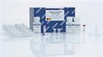 52904 | QIAamp Viral RNA Mini Kit (50)
