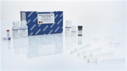 57714 | QIAamp MinElute Virus Vacuum Kit (50)