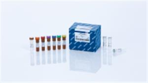 60404 | QIAamp DSP DNA FFPE Tissue Kit (50)