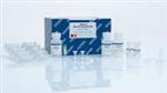 69581 | DNeasy 96 Blood and Tissue Kit (4)