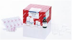 73404 | RNeasy Plus Universal Mini Kit (50)