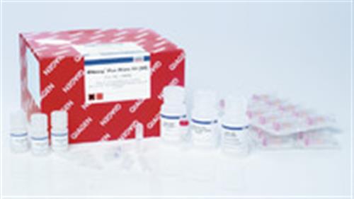 74034 | RNeasy Plus Micro Kit (50)