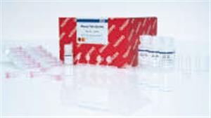 74104 | RNeasy Mini Kit (50)