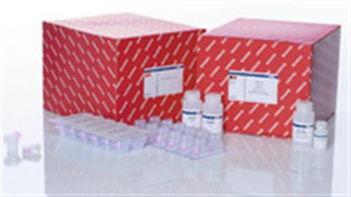 74116 | RNeasy Mini QIAcube Kit (240)