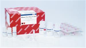 74134 | RNeasy Plus Mini Kit (50)