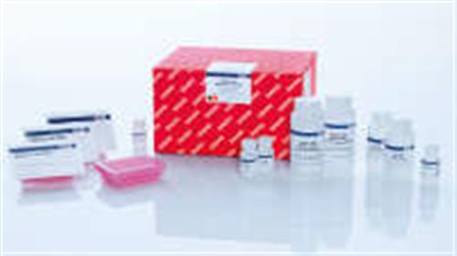 74171 | RNeasy 96 QIAcube HT Kit (5)
