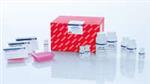 74171 | RNeasy 96 QIAcube HT Kit (5)