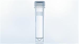 79237 | Oligo-dT Primers (100 µl)