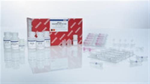 80204 | AllPrep DNA/RNA Mini Kit (50)
