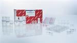 80204 | AllPrep DNA/RNA Mini Kit (50)