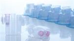 990381 | Sample Tubes RB (2 ml)