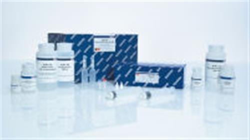 12963 | QIAGEN Plasmid Plus Maxi Kit (25)