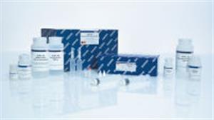 12963 | QIAGEN Plasmid Plus Maxi Kit (25)