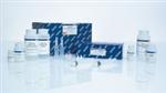 12963 | QIAGEN Plasmid Plus Maxi Kit (25)