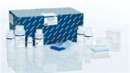 27291 | QIAprep 96 Plus Miniprep Kit (4)