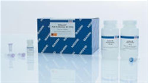 28106 | QIAquick PCR Purification Kit (250)