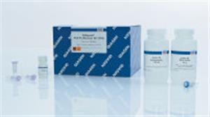 28106 | QIAquick PCR Purification Kit (250)