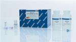 28106 | QIAquick PCR Purification Kit (250)