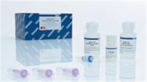 28704 | QIAquick Gel Extraction Kit (50)