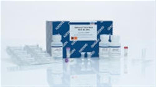 52904 | QIAamp Viral RNA Mini Kit (50)