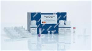 52904 | QIAamp Viral RNA Mini Kit (50)