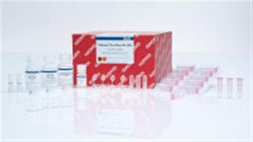 74134 | RNeasy Plus Mini Kit (50)